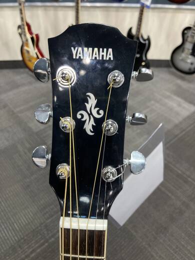 Store Special Product - Yamaha APX600