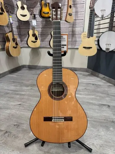 Almansa - A-434 CEDAR