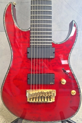 Ibanez - RG IRON LABEL 2