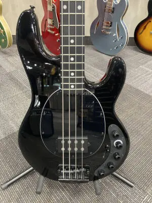 Darkray Bass Guitar 2