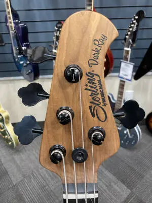Darkray Bass Guitar 2