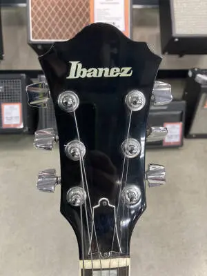 Ibanez FG-100 2