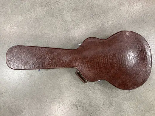 Ibanez FG-100 2
