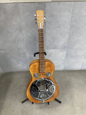 Hound Dog Deluxe Dobro