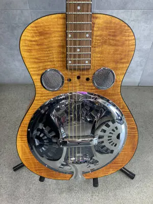 Hound Dog Deluxe Dobro 2