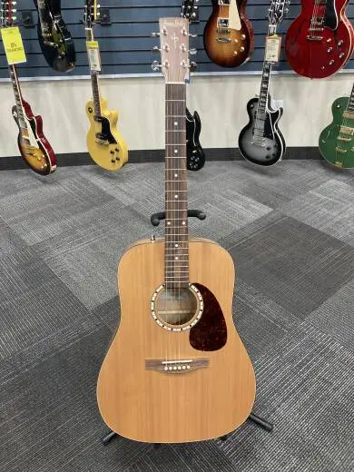 Store Special Product - Simon and Patrick Acoustic Woodland