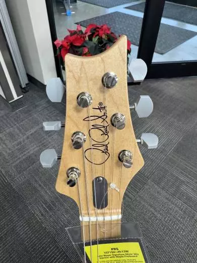 PRS Guitars - 107150::J9:13W 2