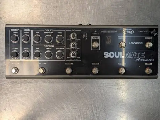T-REx Soulmate Acoustic