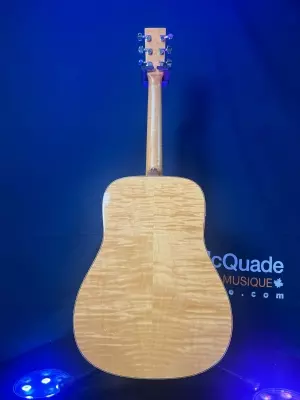 NORMAN B50 (6) FISHMAN PREFIX 3