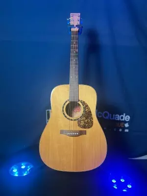 NORMAN B50 (6) FISHMAN PREFIX
