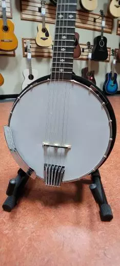 Store Special Product - Gold Tone - BANJITAR