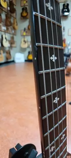 Store Special Product - Gold Tone - BANJITAR