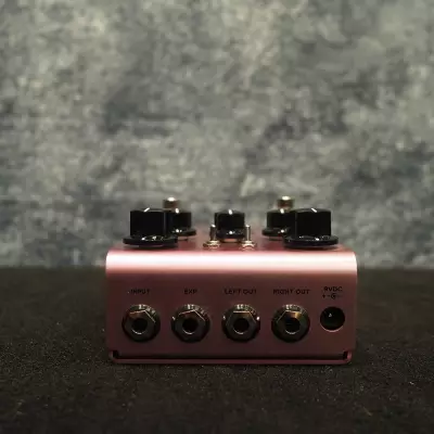 Strymon - DIG V1 3