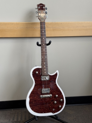 Godin Guitars - G48458