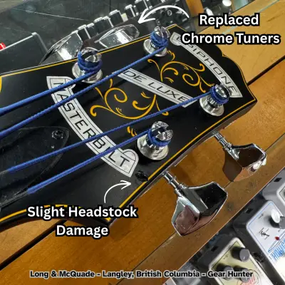 Epiphone Century De Luxe Bass - Vintage Sunburst 2