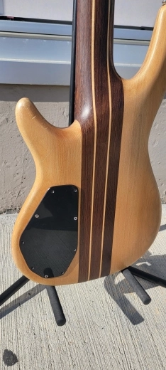 Cort CM5 Artist 5 String Bass 2