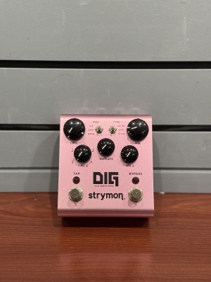 Strymon - DIG V1