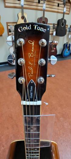 Store Special Product - Gold Tone - Round Neck Resonator