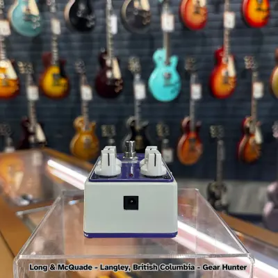 Mesa Boogie Dynaplex 2