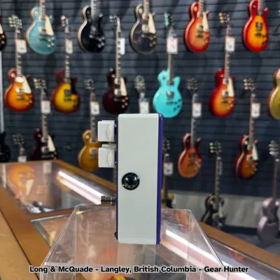 Mesa Boogie Dynaplex 2