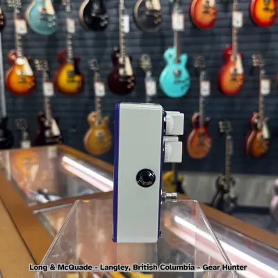 Mesa Boogie Dynaplex 2