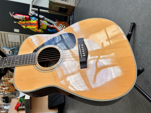 YAMAHA ギター YAMAHA（ヤマハ） Yamaha FG-423S Acoustic Guitar アコースティック