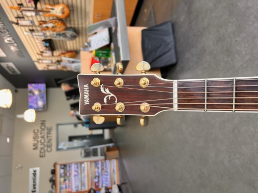YAMAHA ギター YAMAHA（ヤマハ） Yamaha FG-423S Acoustic Guitar アコースティック