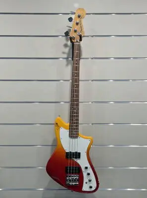 Fender - 014-7393-387