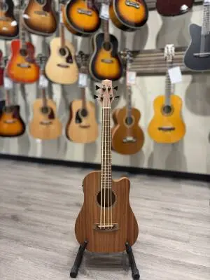 Gold Tone - MICRO BASS 2