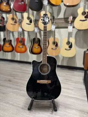 Takamine - EF341SC-LH