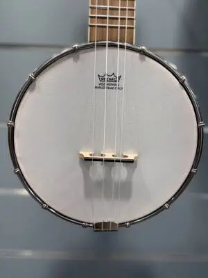 Denver - DUKE-BANJO 2