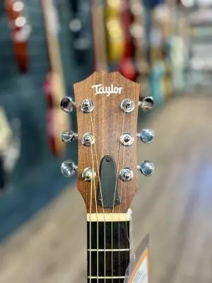 Taylor Guitars - GS MINI RW 2