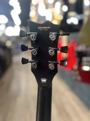 ESP Guitars - EIIECQMRDB 2