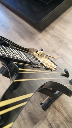 Schecter - SYNYSTER GATES CUSTOM 2
