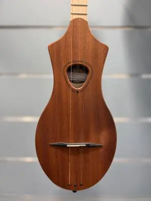 Seagull Guitars - S39098 2