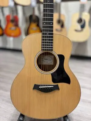 Taylor Guitars - GS MINI RW 2