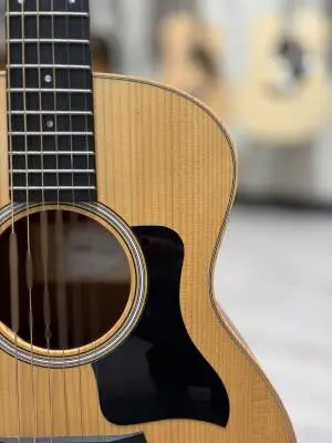 Taylor Guitars - GS MINI RW 2