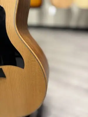 Taylor Guitars - GS MINI RW 2