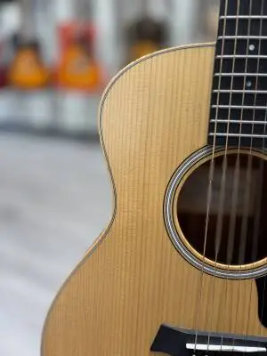 Taylor Guitars - GS MINI RW 2