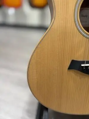 Taylor Guitars - GS MINI RW 2