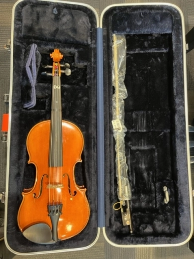 Eastman Strings - VA80ST 13