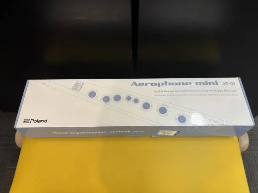 Roland - AE-01 2