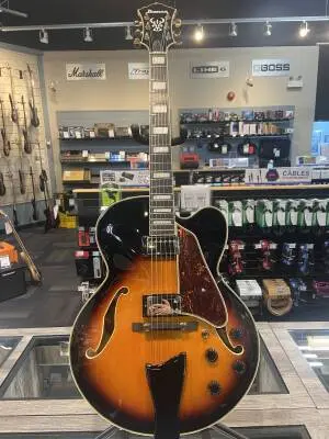 Ibanez - AF95BS