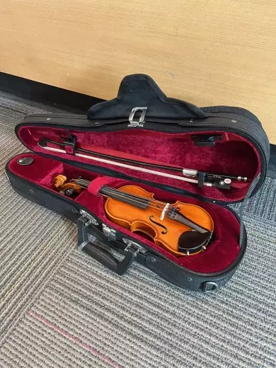 Eastman Strings - VL80LM 1/32 OF 2