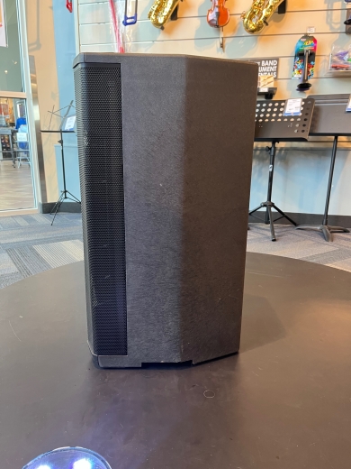 Store Special Product - Bose Professional Products - F1 MODEL 812