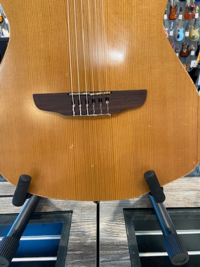 Store Special Product - Godin Guitars - G32167