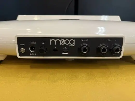 Moog - EW-THEREMINI-01 2