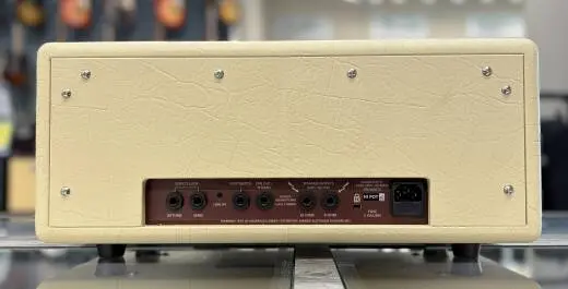 Blackstar Amplification - Debut 100RH 100-Watt Amplifier Head - Cream 2