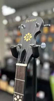 Denver - 5 String Closed Back banjo 2