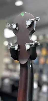 Denver - 5 String Closed Back banjo 2